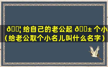 🐦 给自己的老公起 🐱 个小名（给老公取个小名儿叫什么名字）